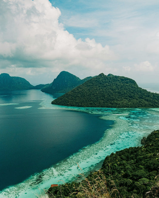 自然の楽園、ボルネオ島